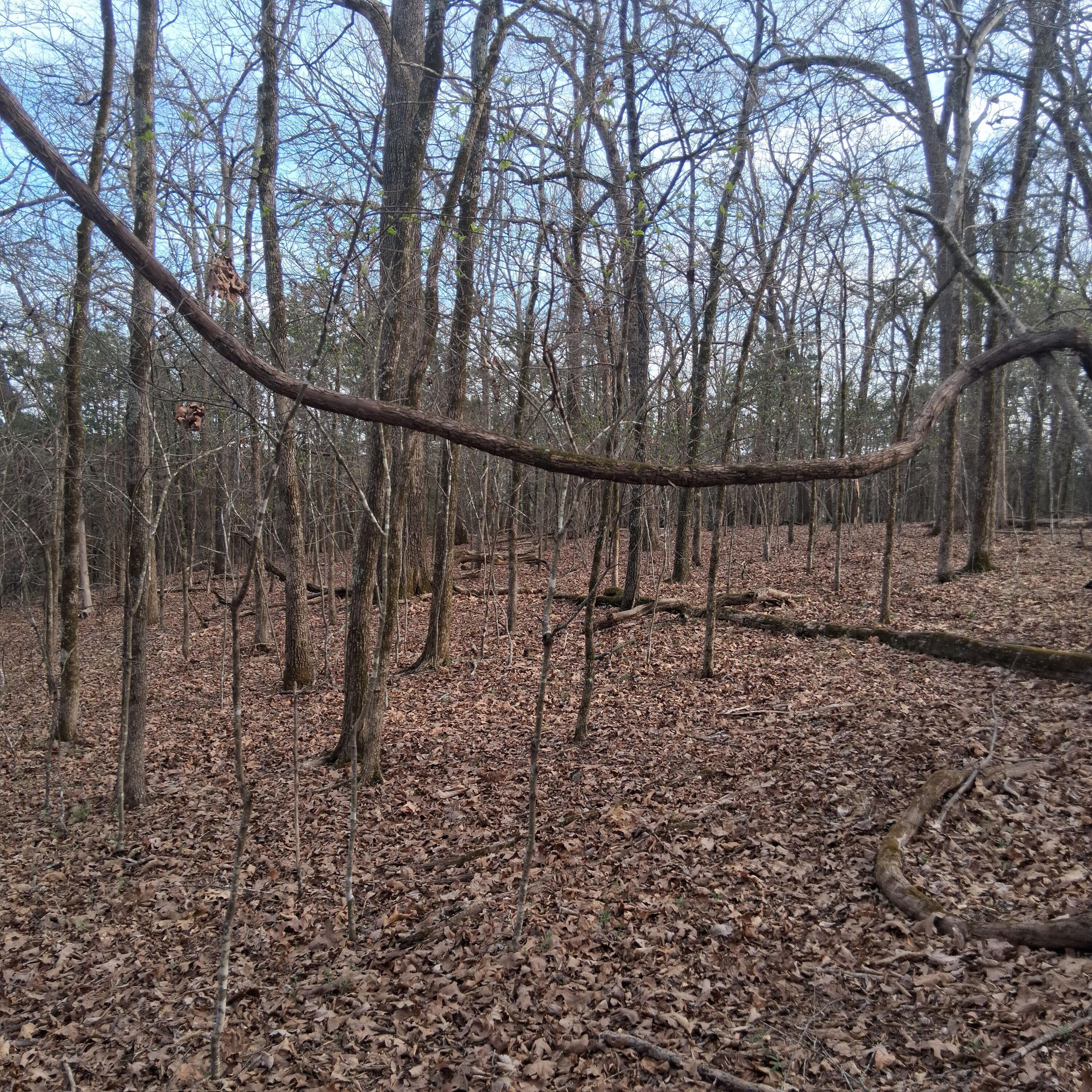 Image 4 Image 4