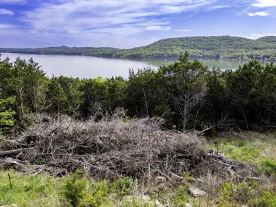 000 Bobcat Ridge Rd.