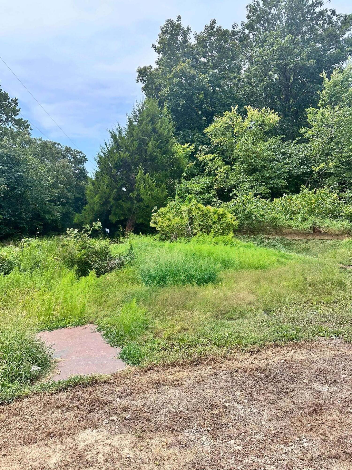 Image 3 Image 3