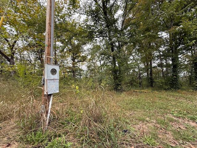 Image 1 Image 1