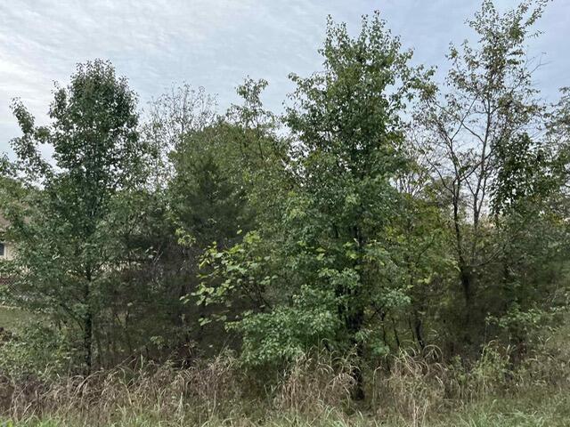 Image 3 Image 3