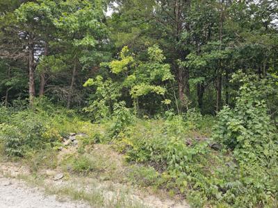 0000 Oak Dr