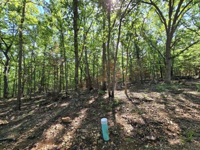 Lot 6 Block 12 Tall Oaks