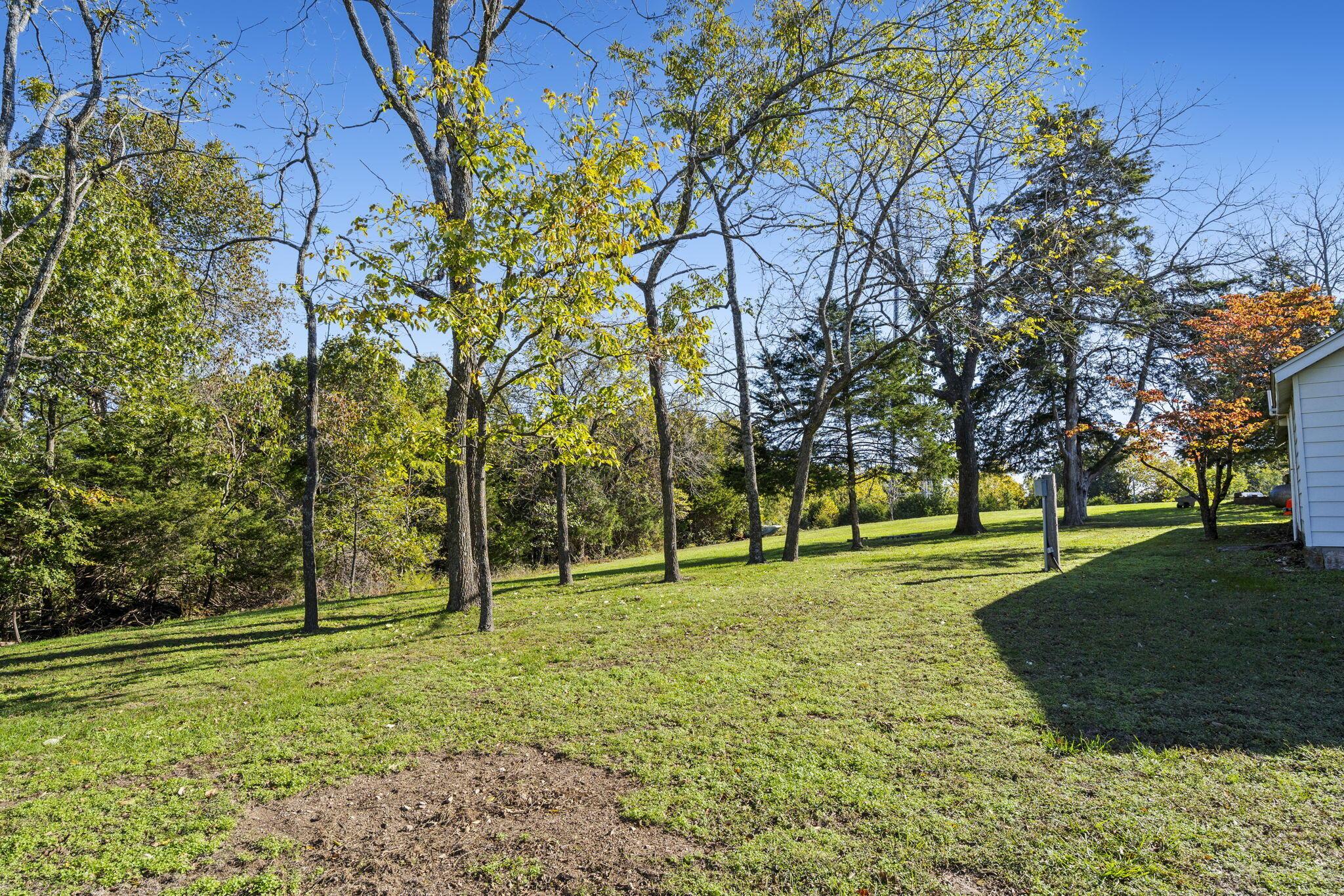 Image 4 Image 4