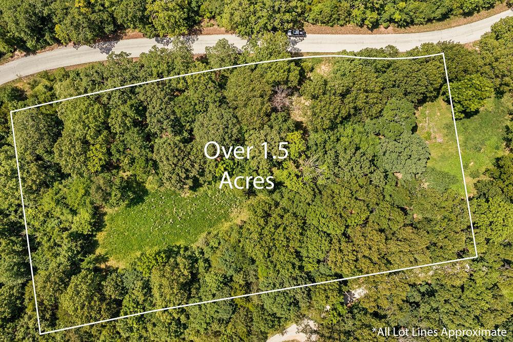 Image 4 Image 4