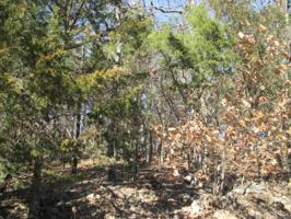 Tbd High Cedar Drive