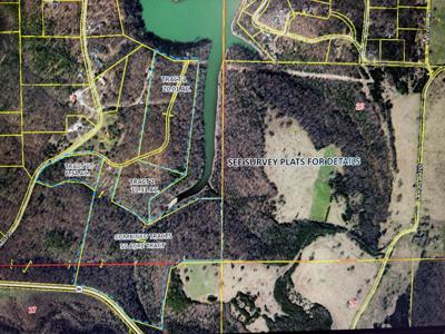 Tract 2 Farm Road 1250