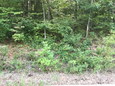 Lot 107 Crescent Drive