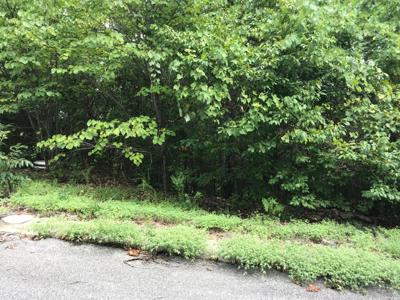 Lot 256 Skylee Drive