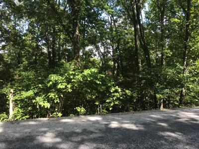 Lot 227 Syler Circle