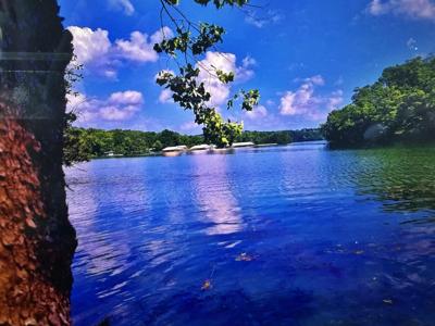 Lot270-274 Lake Taneycomo Woods