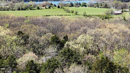 Lot #34 Coral Fountains