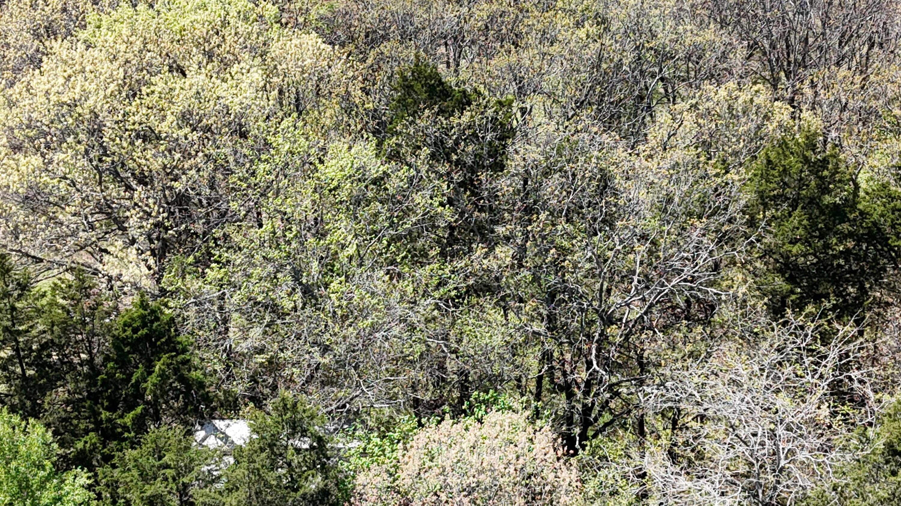 Image 3 Image 3
