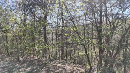 Lot #46 Gumbo Woods