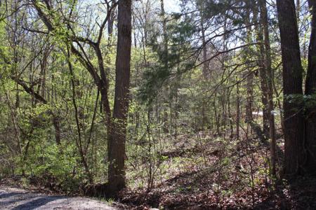 Lot #308 Elm Lane