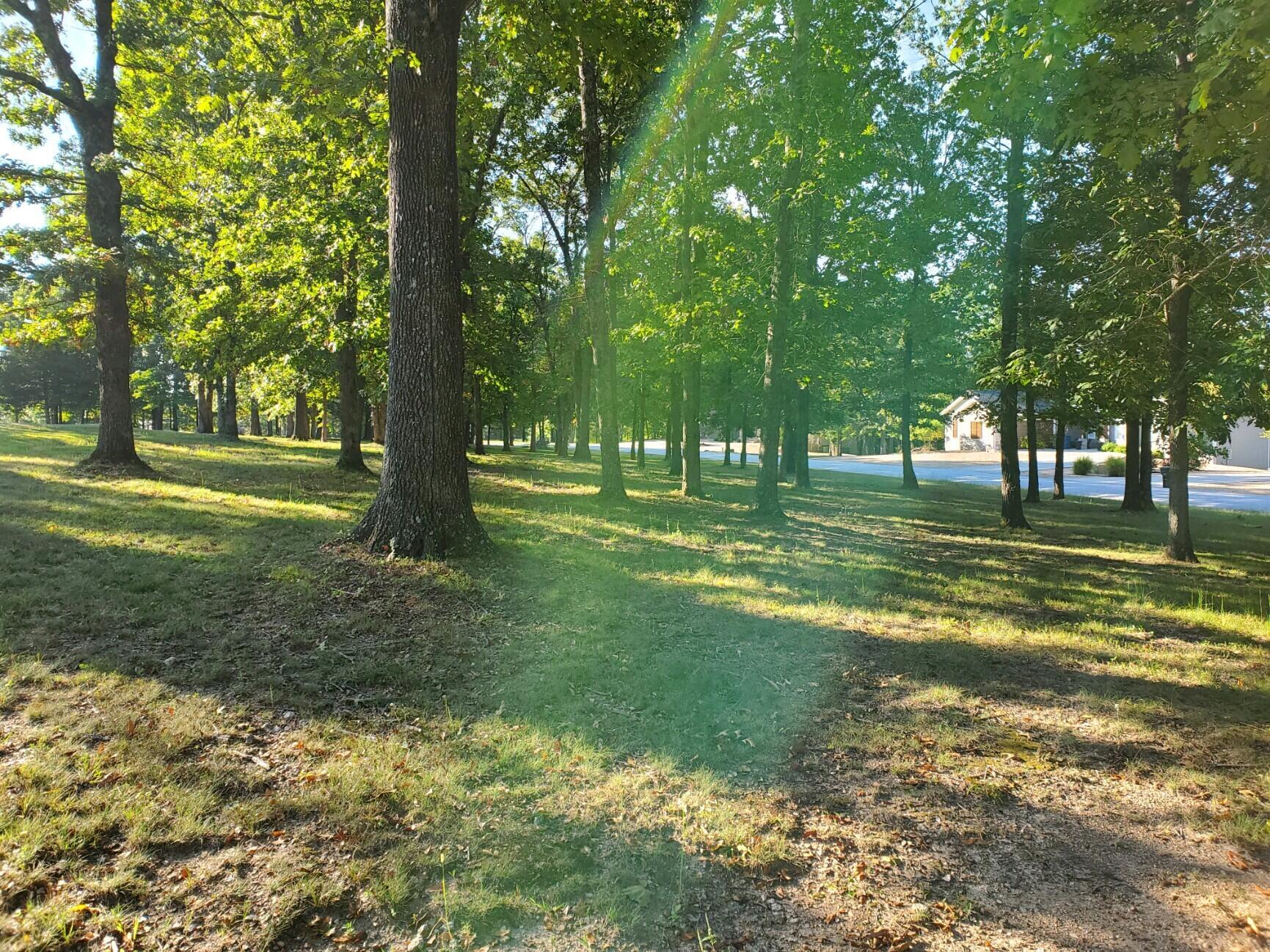 Image 3 Image 3