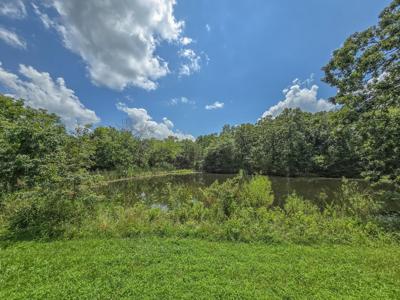 22610 County Road 286