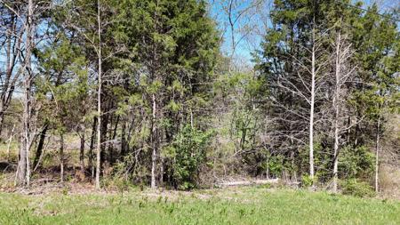 Lot #17 Farm Road 2262