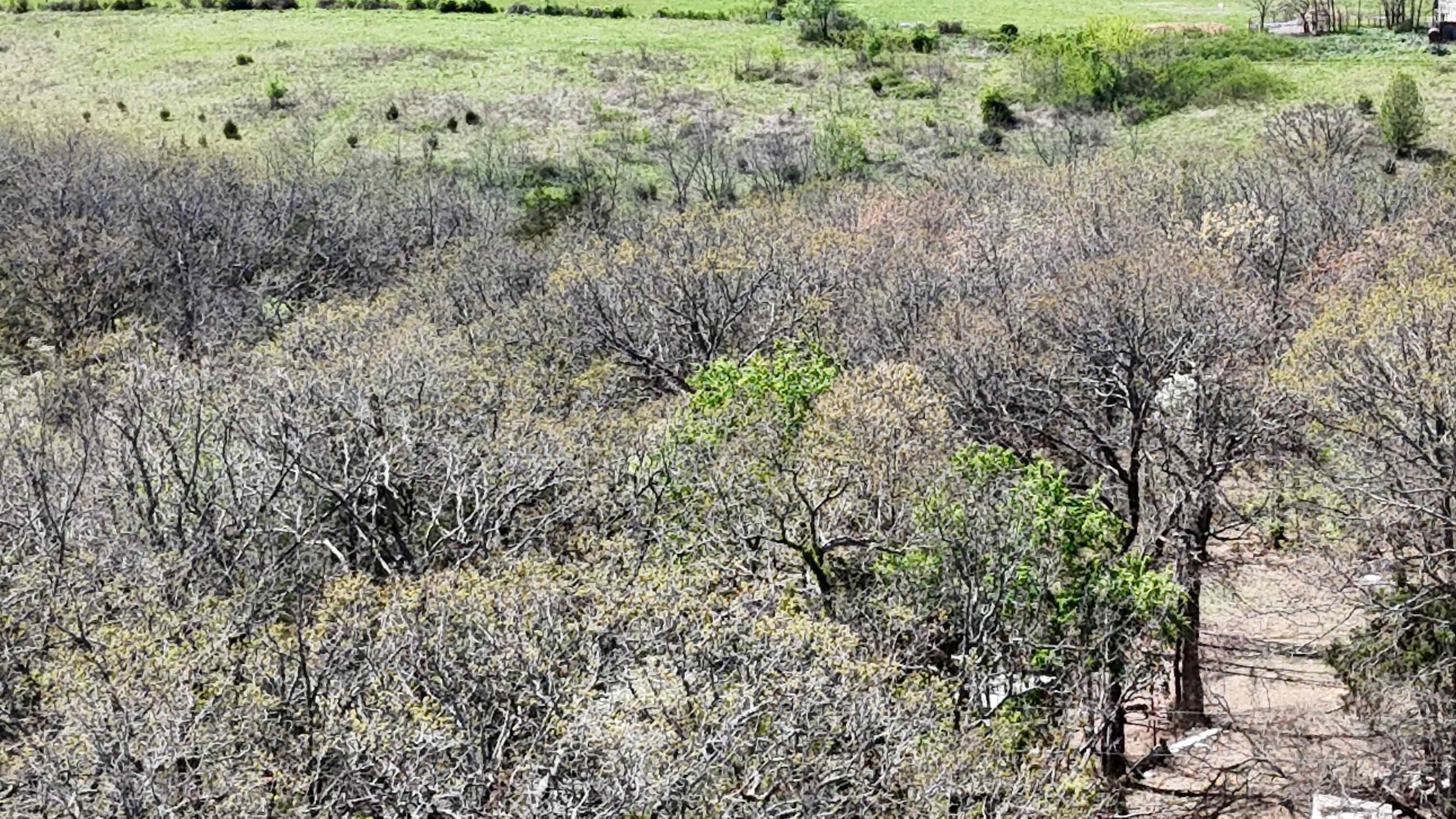 Image 4 Image 4