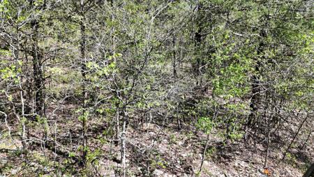 Lot #20 Oak Lane