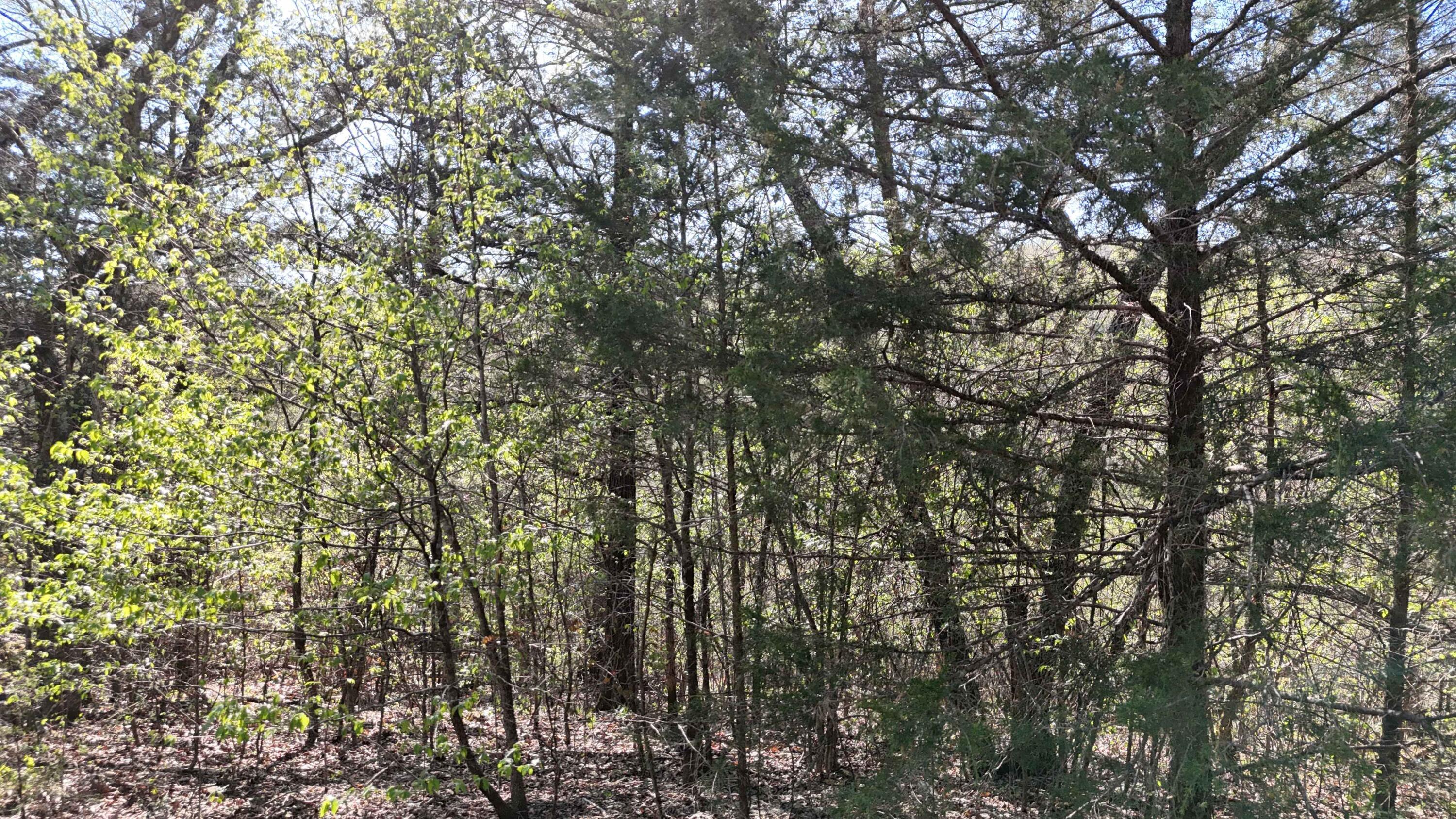 Image 3 Image 3