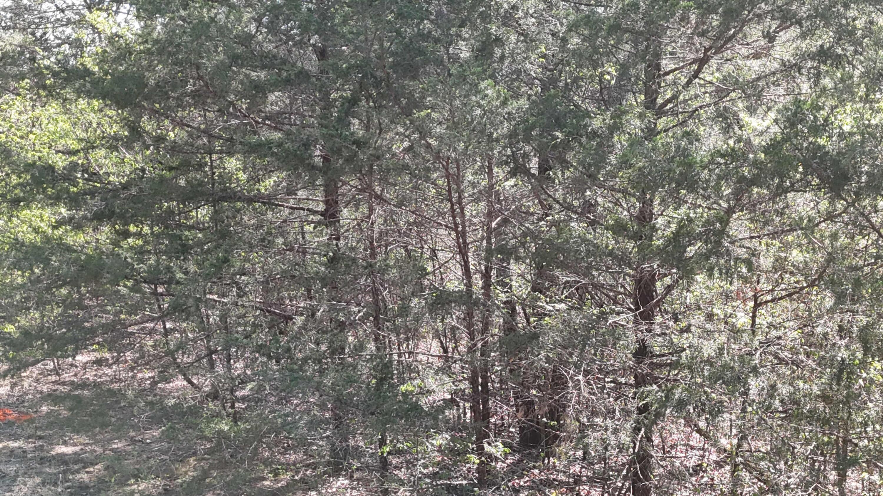 Image 4 Image 4