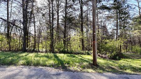 Lot #31 Farm Road 1260