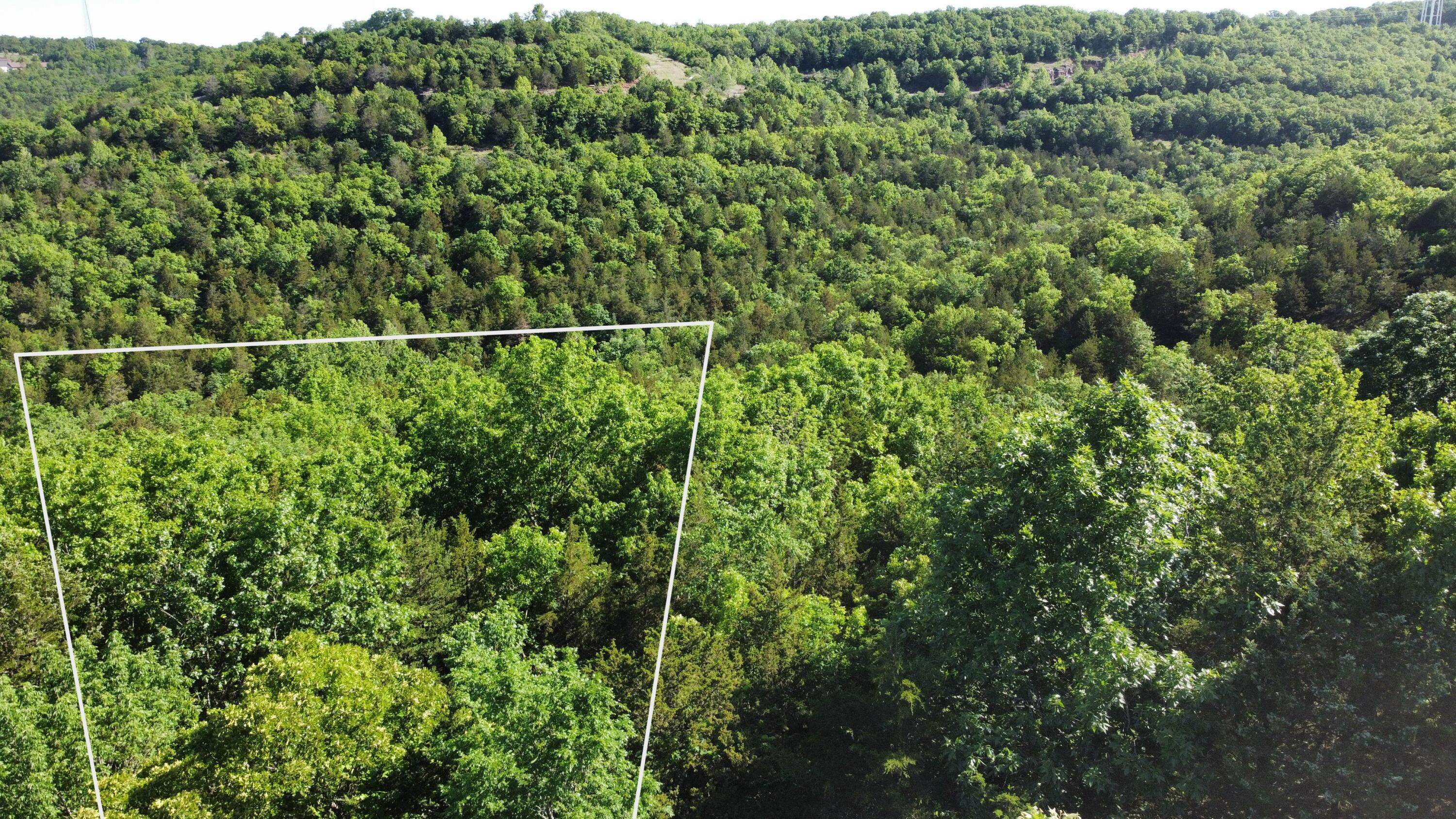 Image 4 Image 4