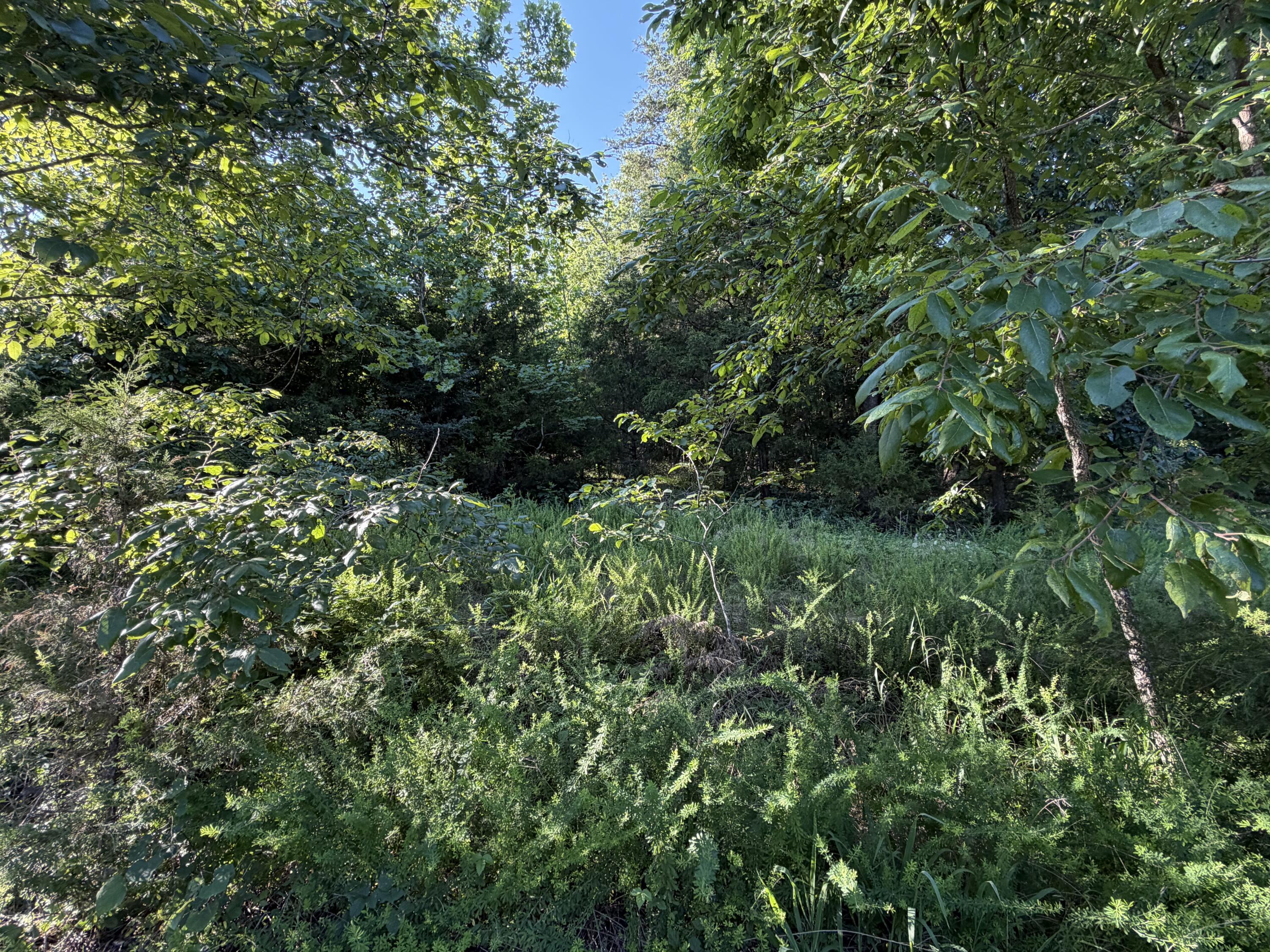 Image 4 Image 4