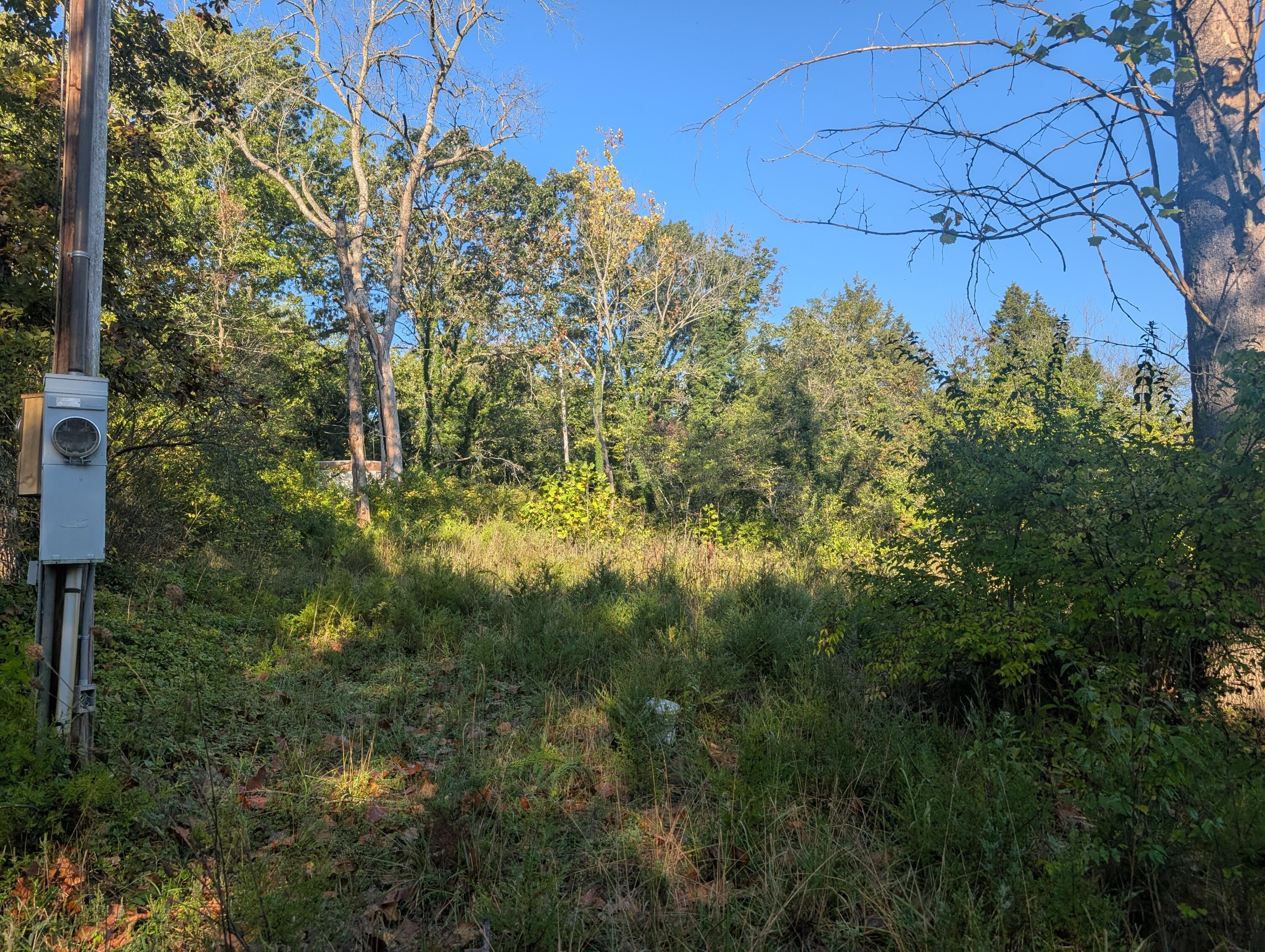 Image 2 Image 2