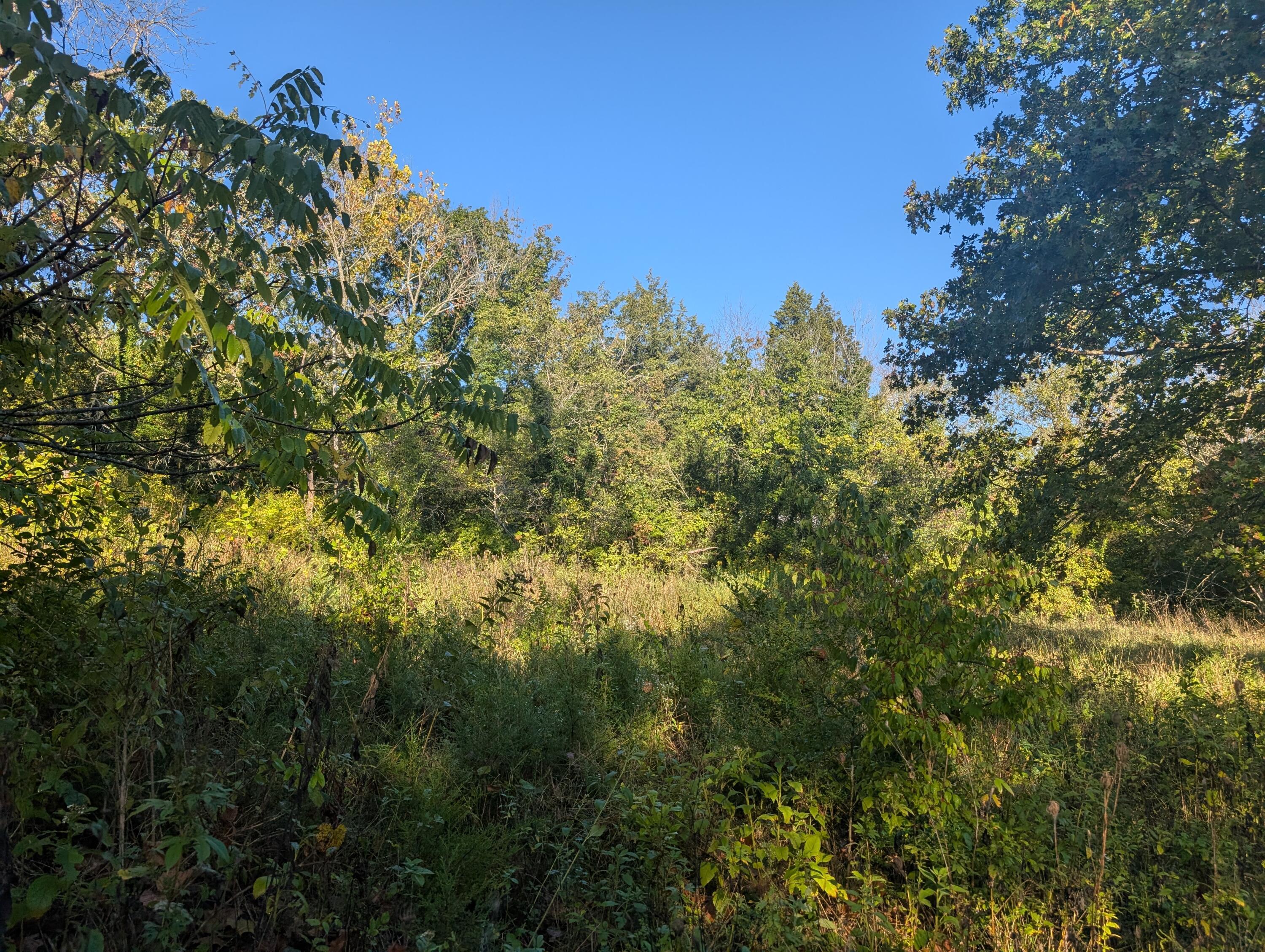 Image 3 Image 3
