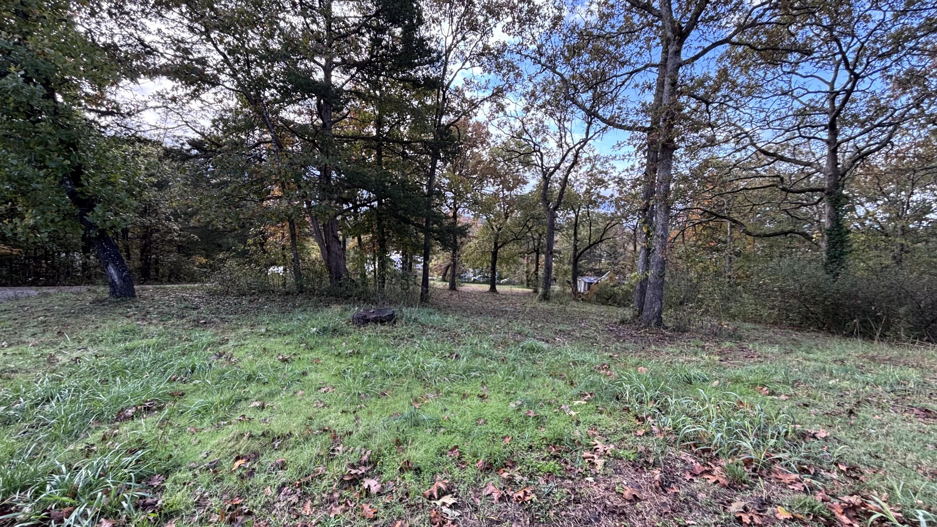 Image 4 Image 4