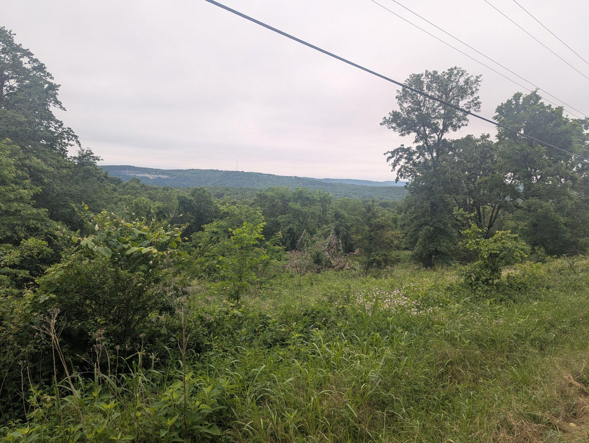 Image 3 Image 3