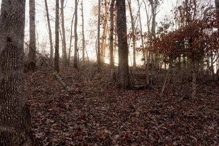 000 County Road 64