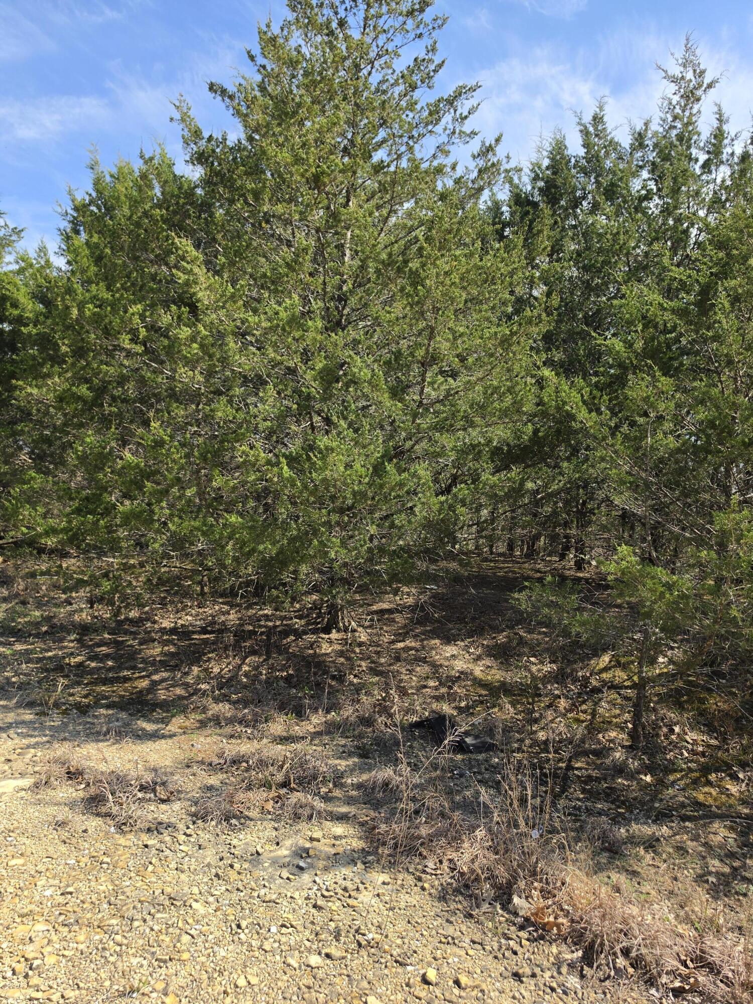 Image 4 Image 4