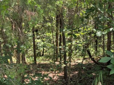 6 Lots Farm Road 1255