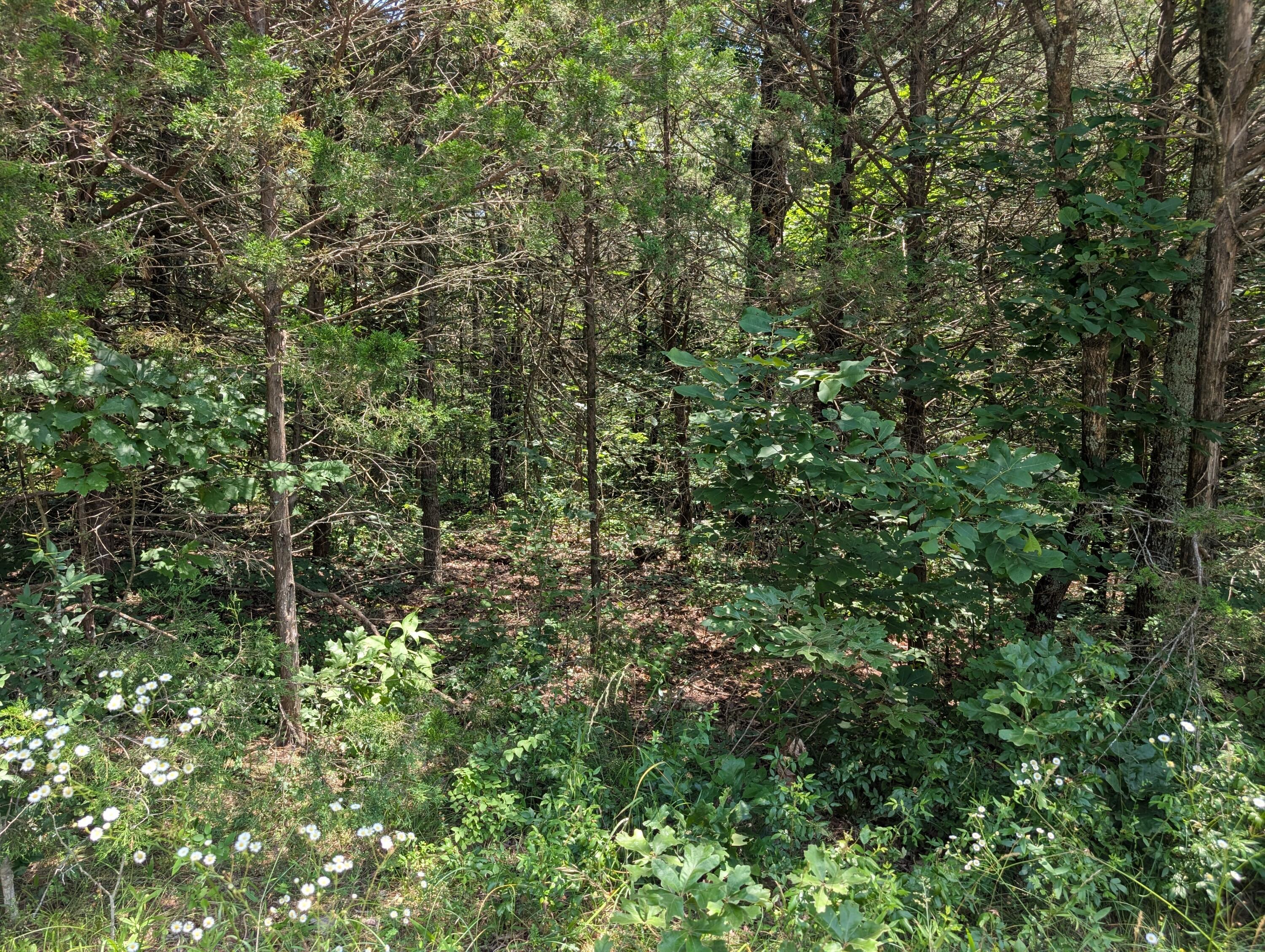 Image 2 Image 2