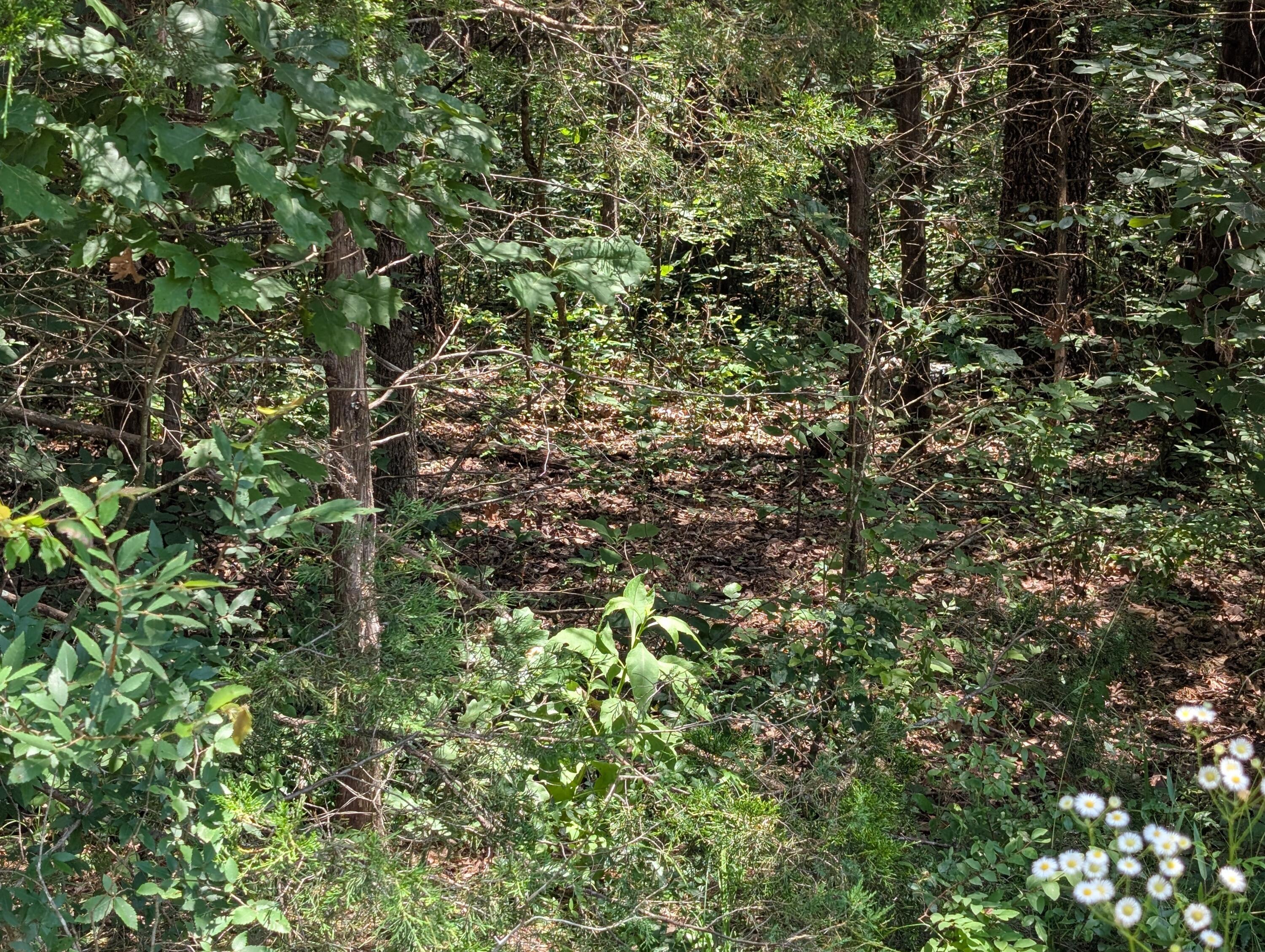 Image 4 Image 4
