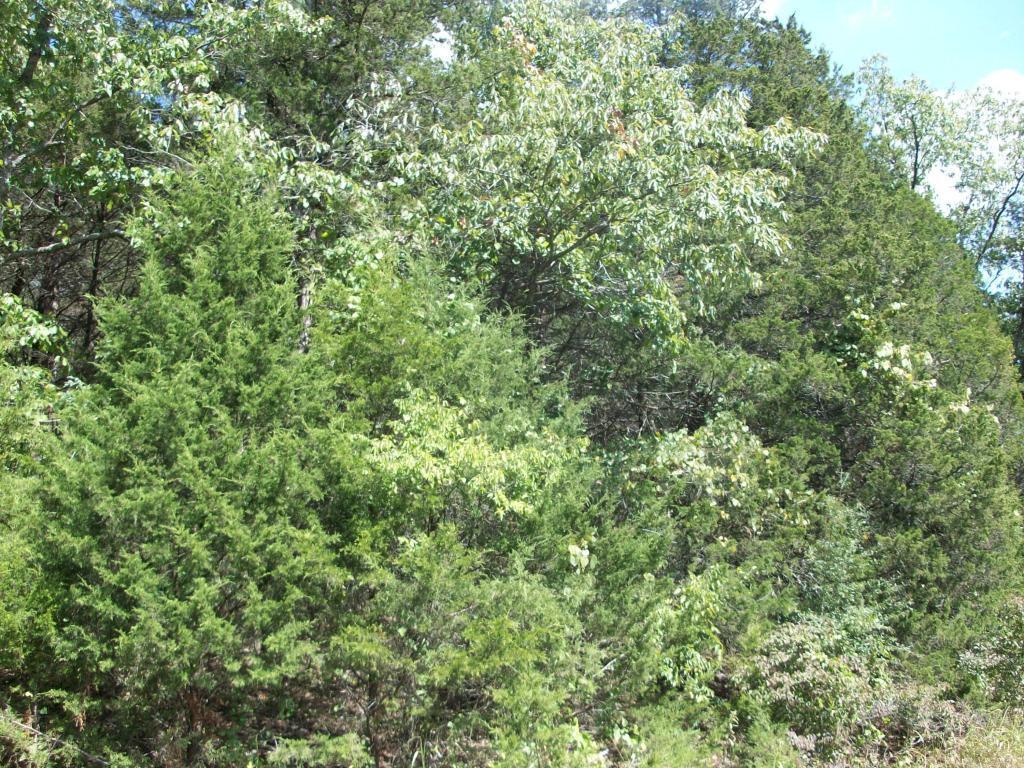 Image 4 Image 4