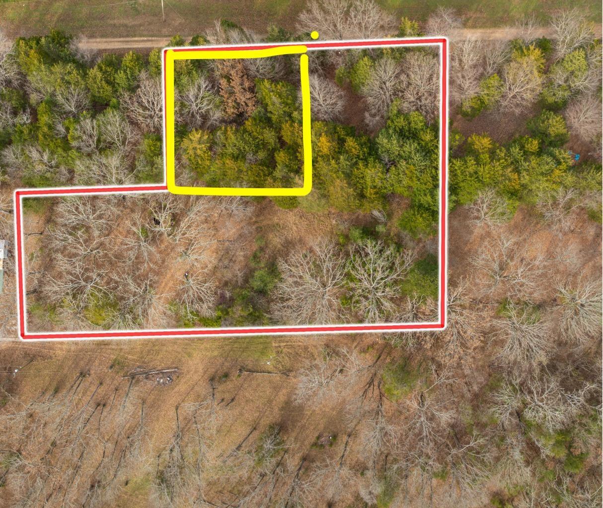 Image 1 Image 1