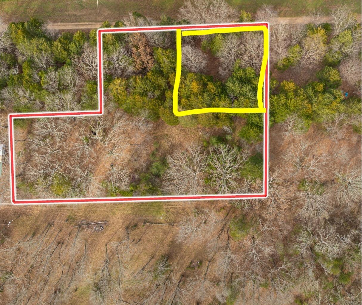 Image 1 Image 1