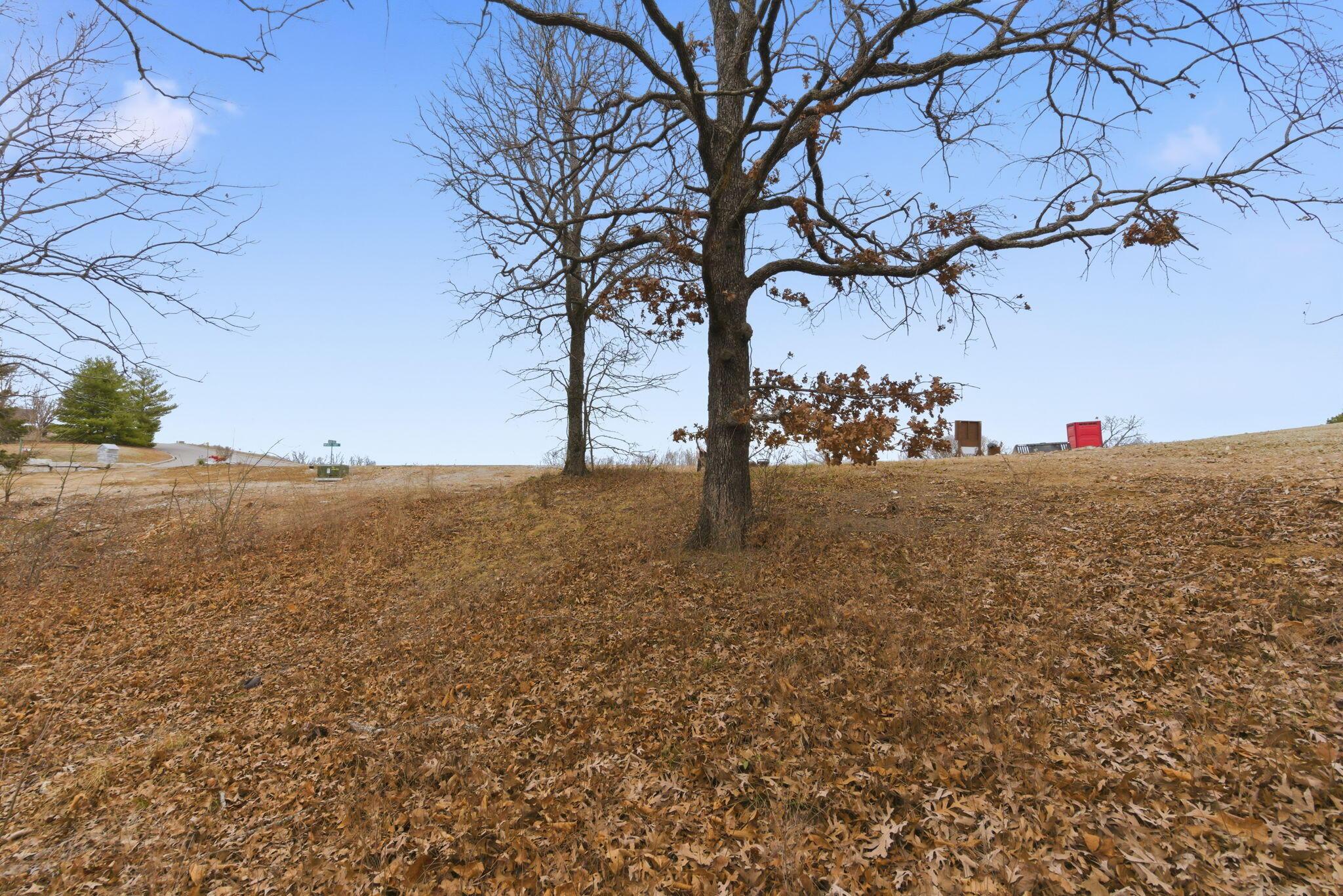 Image 4 Image 4