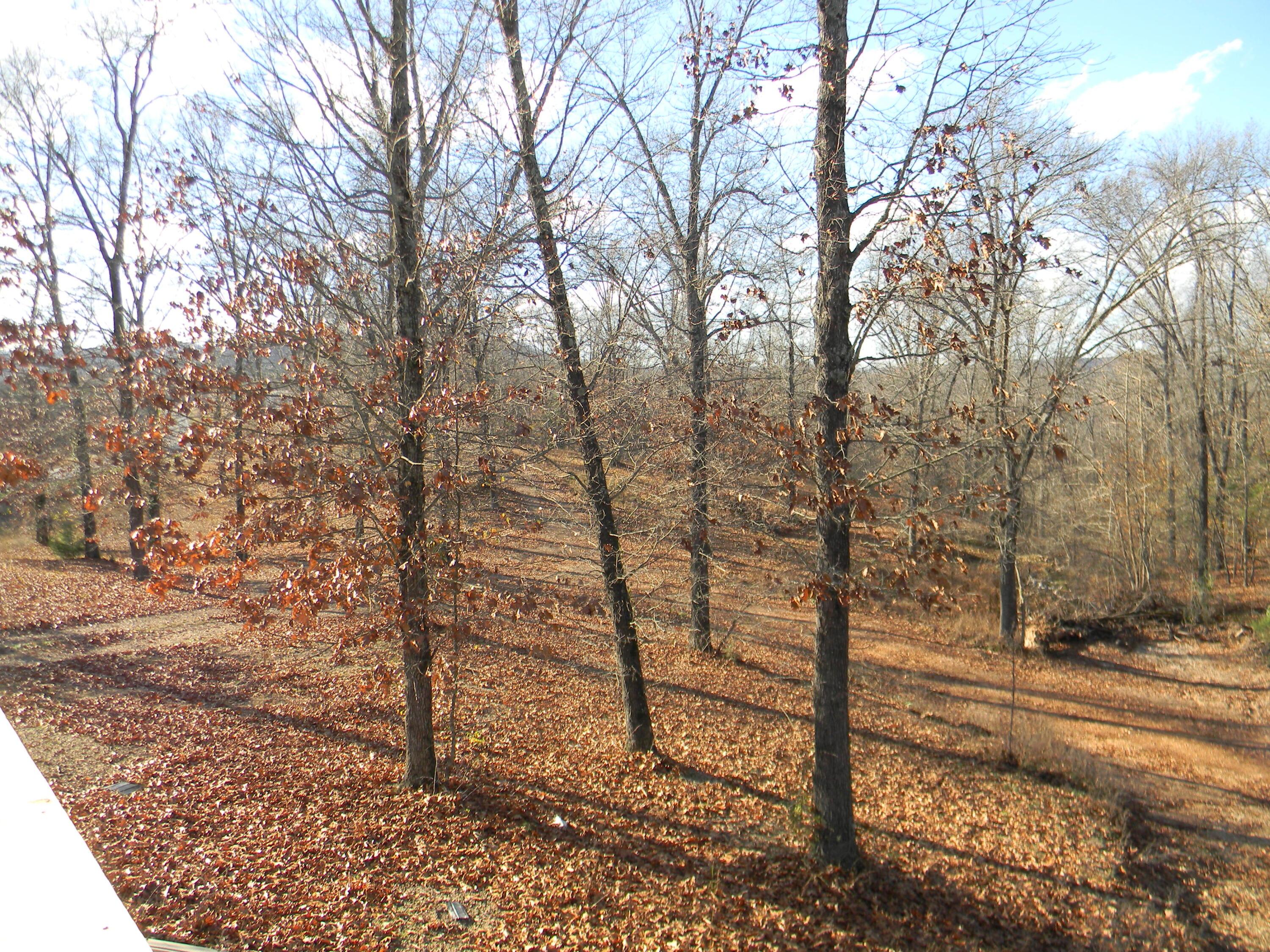 Image 3 Image 3
