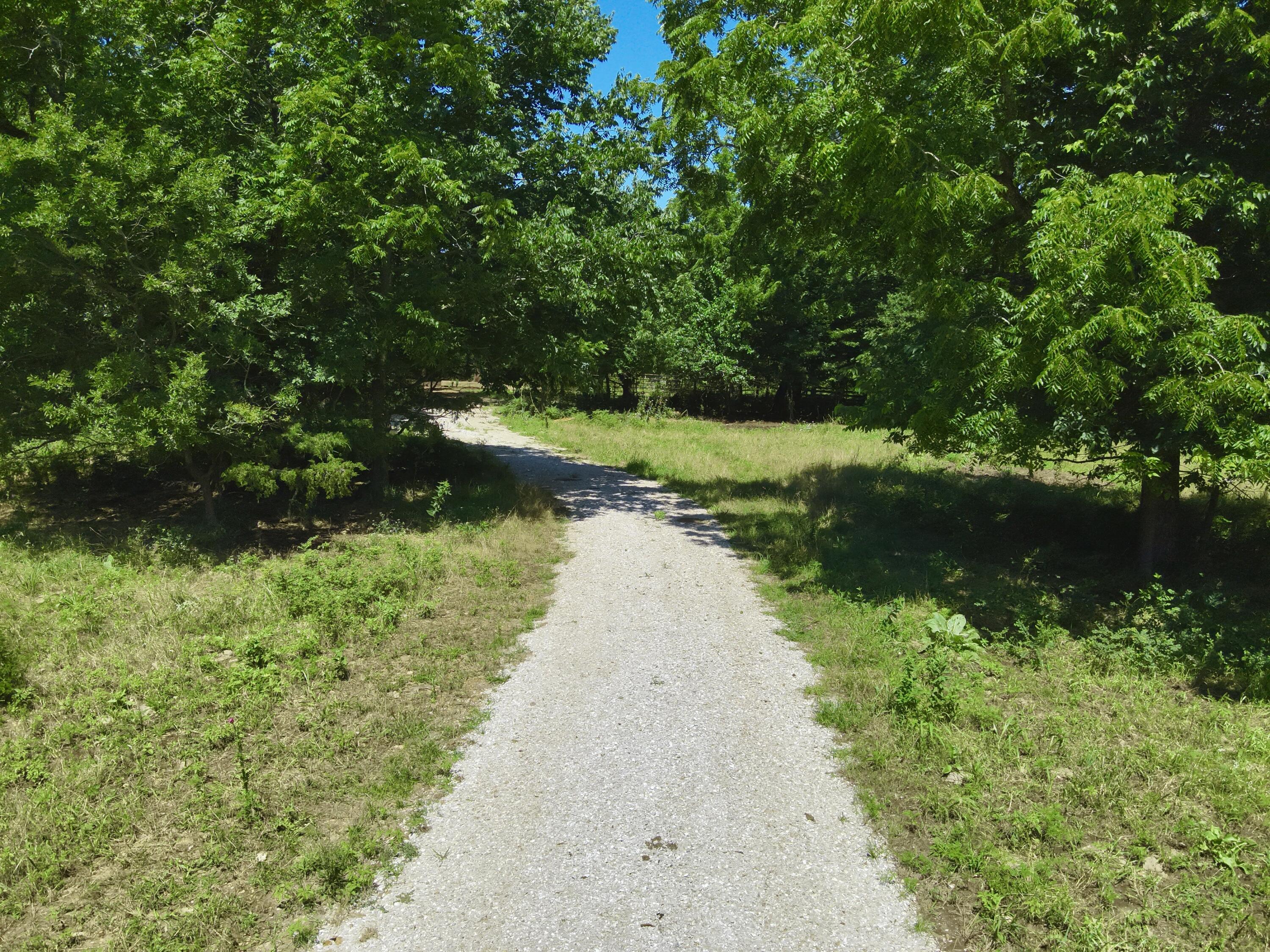 Image 4 Image 4