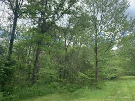 000 Dade County Rd 68