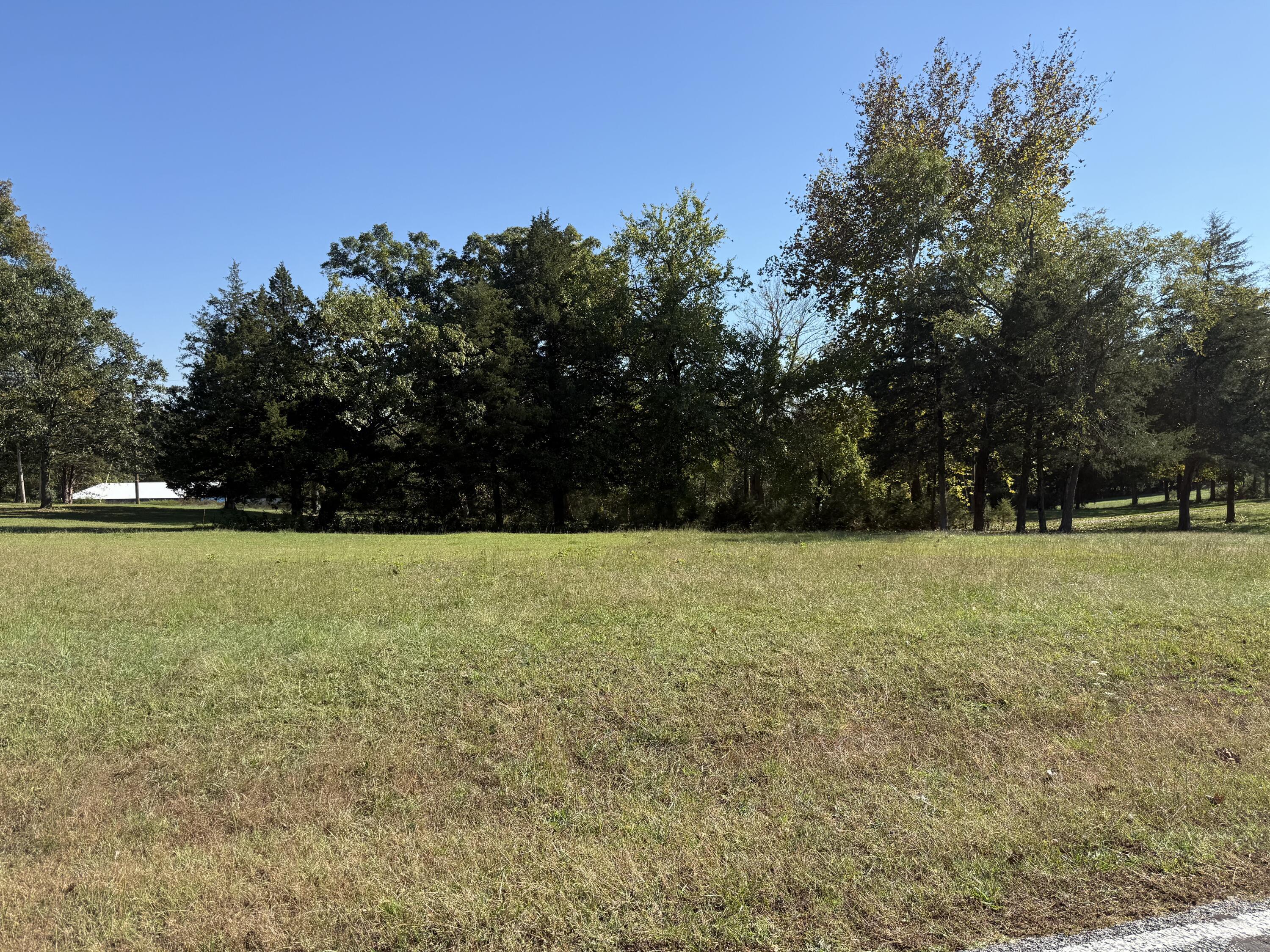 Image 3 Image 3