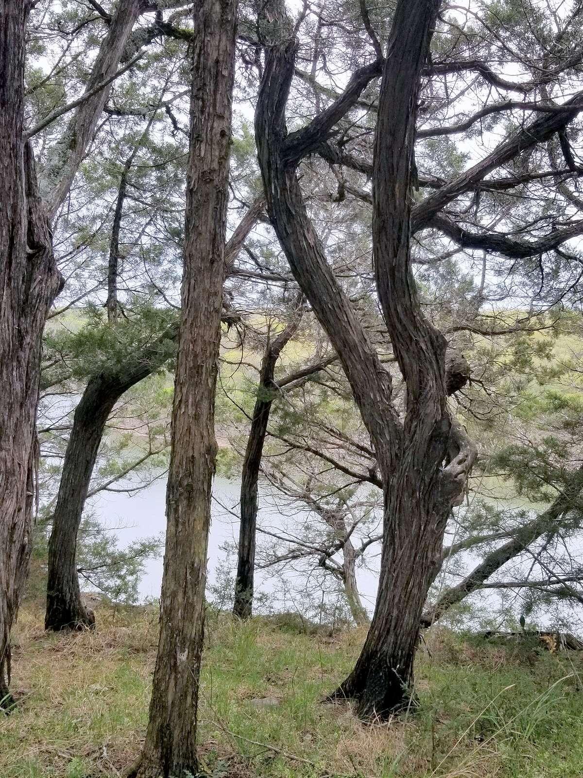 Lots 3 & 4 Roadrunner Ridge, Shell Knob, MO lhrmls00933974