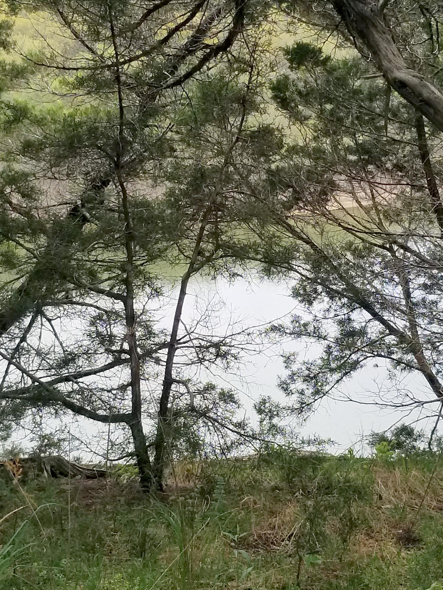 Lots 1 & 2 Kings River Road, Shell Knob, MO lhrmls00933975