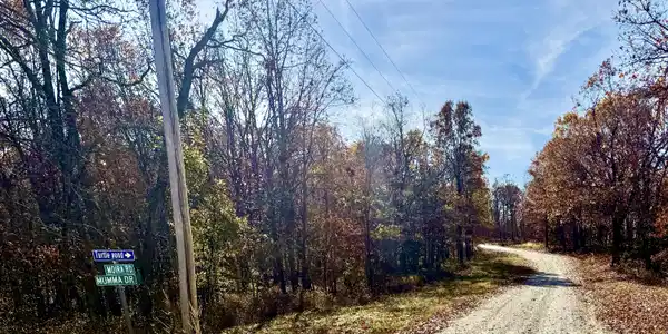Lot 144 Forbes Lake Of The Ozark Park,