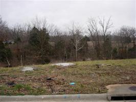 Lot 10 South Ridge Top Avenue